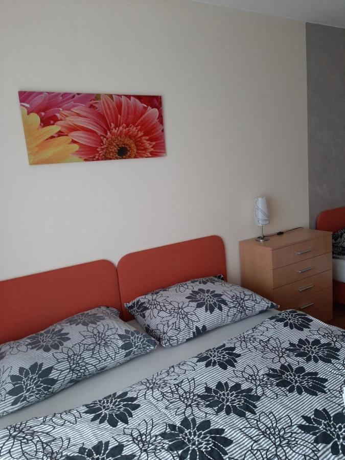 Apartments 17 - 23 AD Kamzík Donovaly Dış mekan fotoğraf